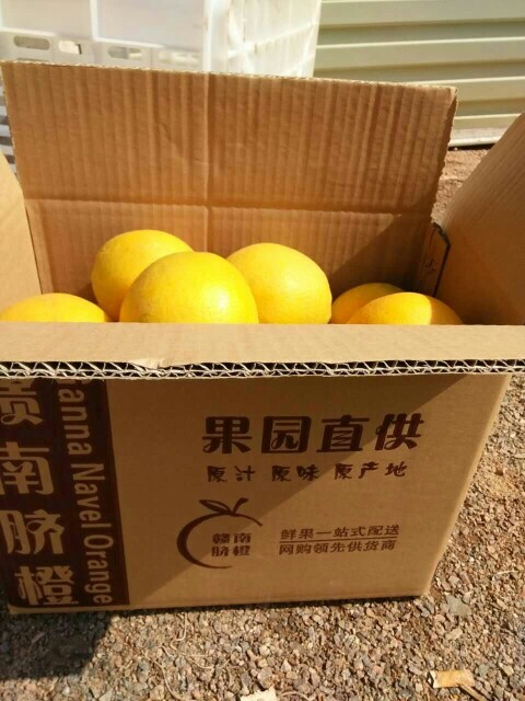 会昌县江西赣州会昌脐橙新鲜采摘当季水果柑橘类自然成熟甜