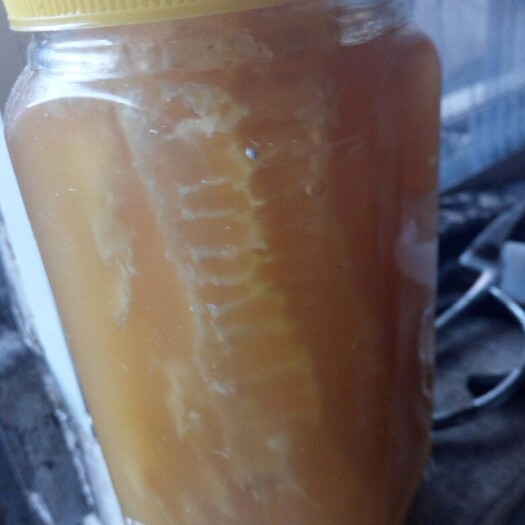 思茅土蜂蜜 桶装  2年以上