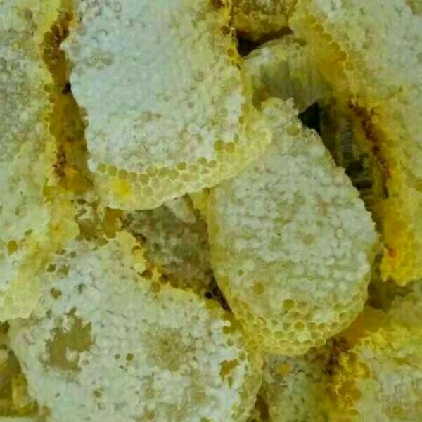 土蜂蜜 桶装  2年以上