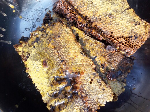 土蜂蜜 桶装  2年以上