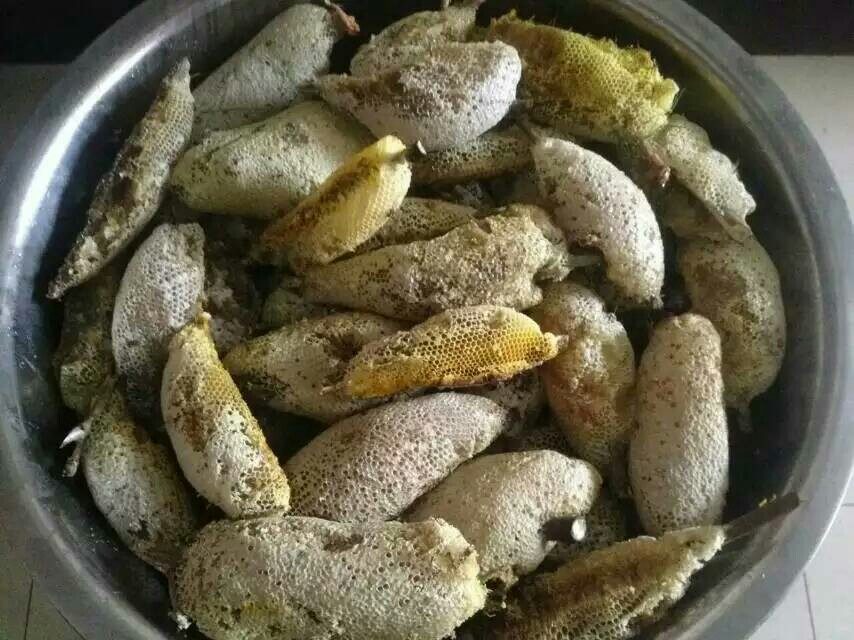 土蜂蜜 桶装  2年以上