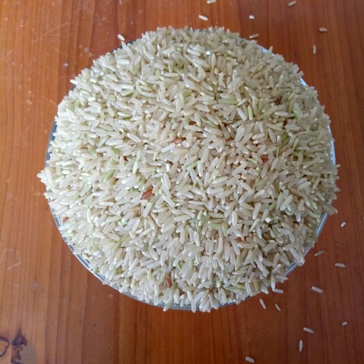 平南县胚芽米 有机大米 晚稻 一等品