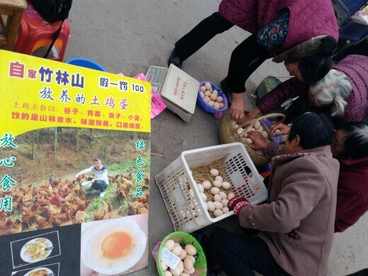 诸暨市土鸡蛋 箱装 食用