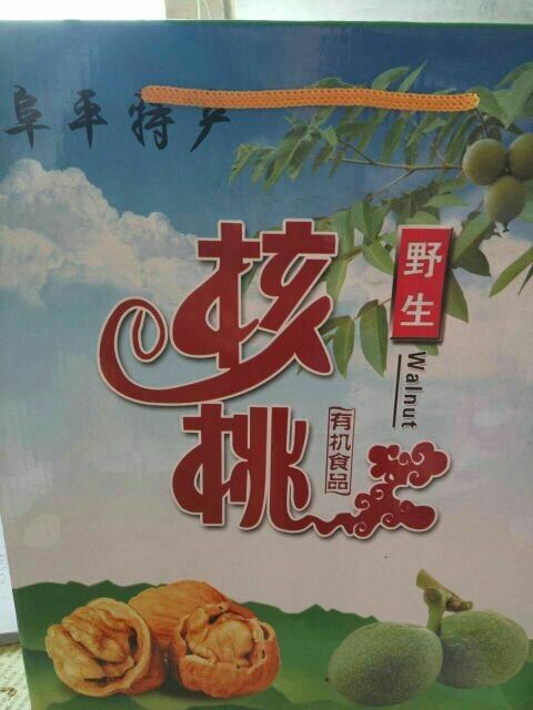 阜平县老树核桃