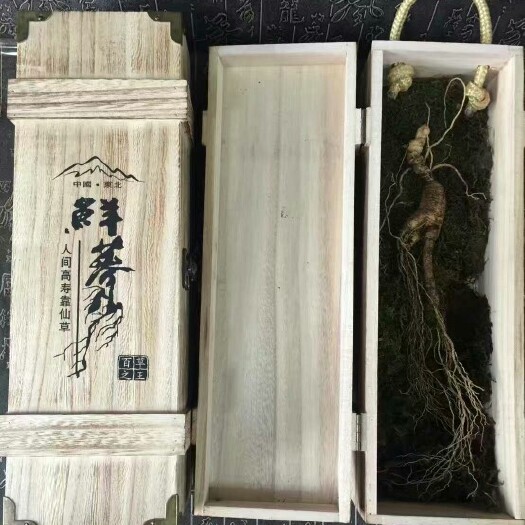 抚松县林下参