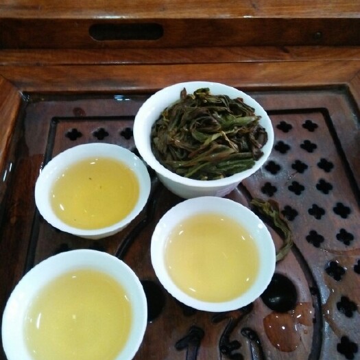 揭阳广东单枞