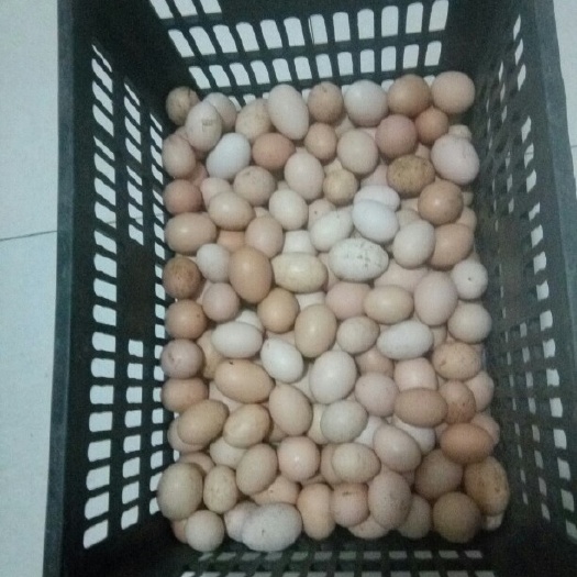 兴义市土鸡蛋 食用 简包装 