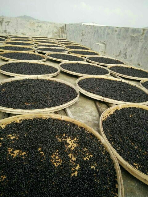 阳江黑豆豉 