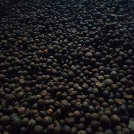 永州野生山茶油 500ml 