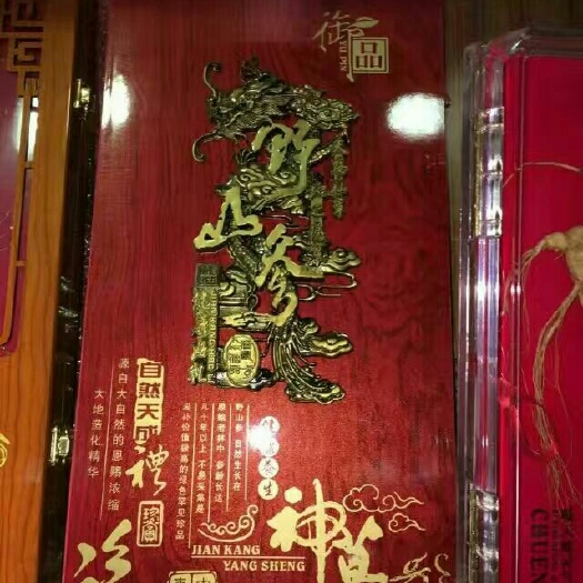 林下参人参 全须生晒参 