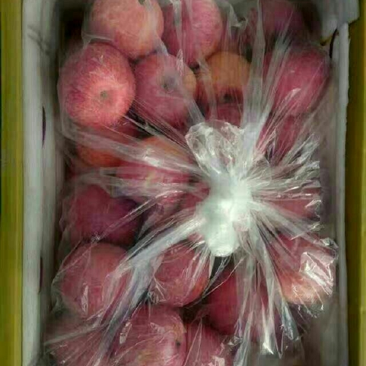 红富士苹果
