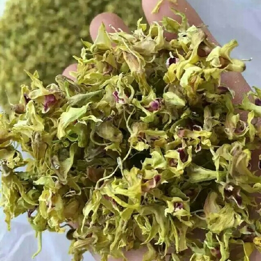 文山市铁皮石斛花 