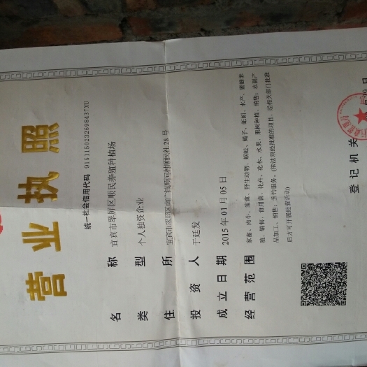 宜宾鱼腥草根