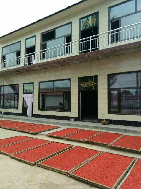 西吉县宁杞7号 特级
