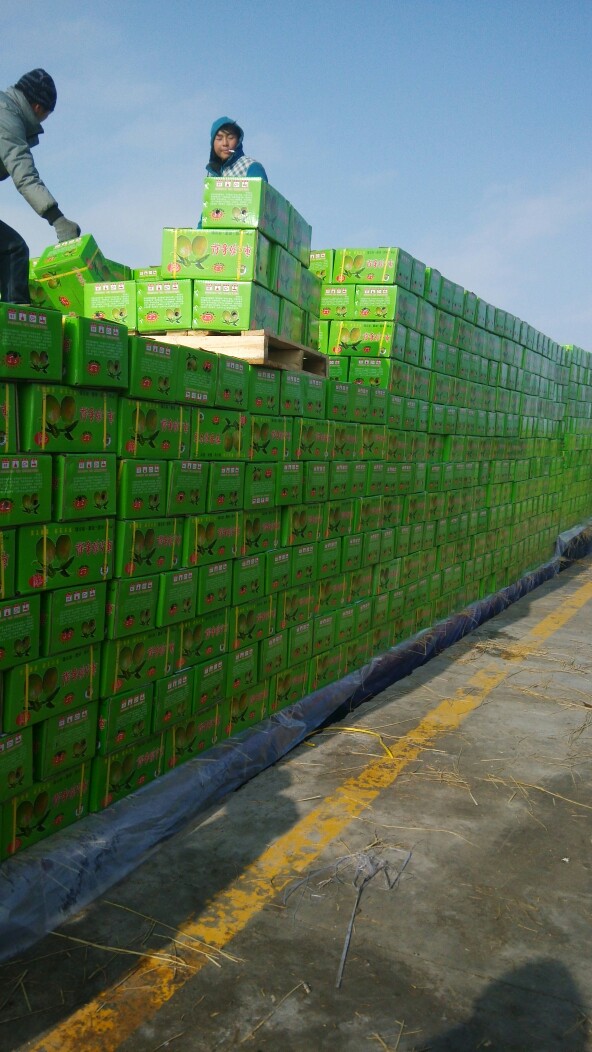 香梨 新疆土地种植的果品，大自然给你、我、它的馈赠，没什么说的干吧