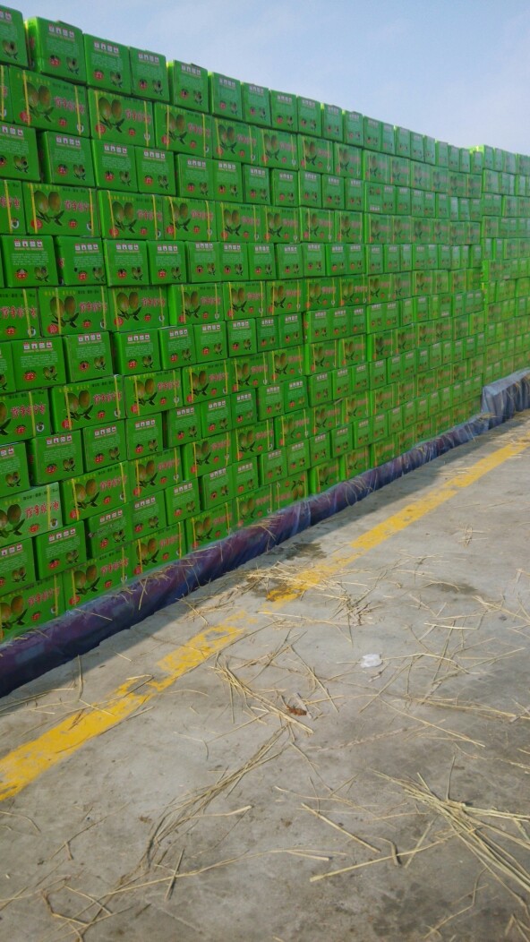 香梨 新疆土地种植的果品，大自然给你、我、它的馈赠，没什么说的干吧