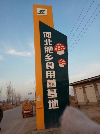 邯郸干平菇