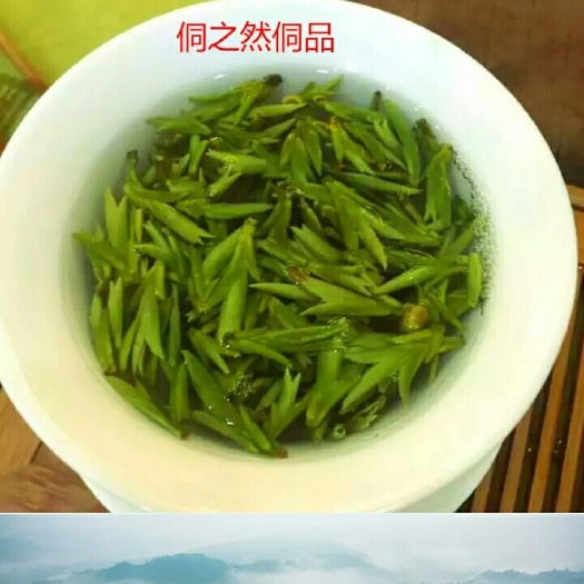 三江县三江绿茶
