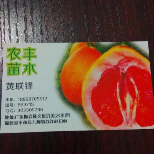 梅州三红蜜柚苗