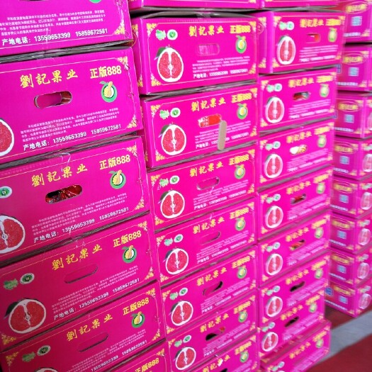 平和县平和蜜柚 2斤以上