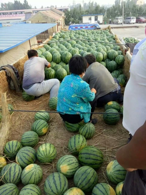 南宁广西甜王