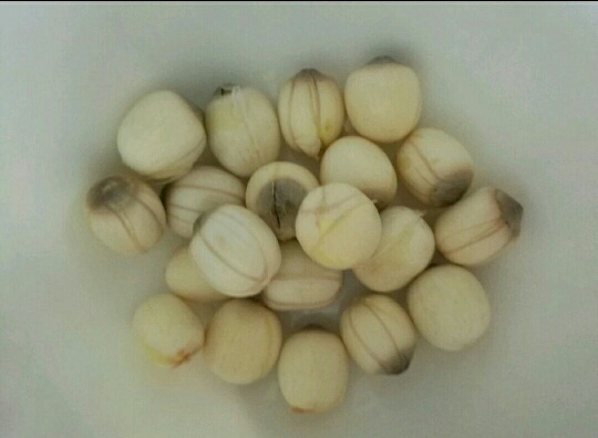 瑞金市红莲子 0.8 特级 