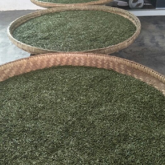 石阡县石阡苔茶 石阡台茶，高山云雾茶，无公害，