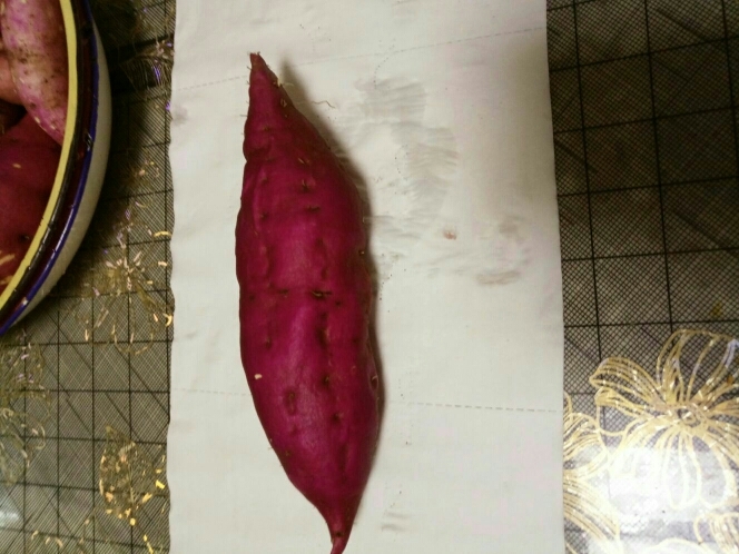 河津市红东红薯苗 15~25cm 