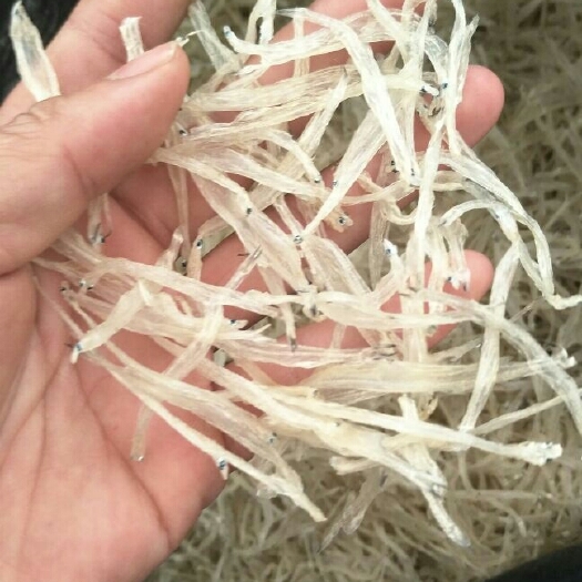 巴马县 广西巴马淡水 银鱼