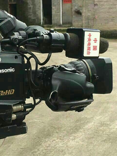 寻乌县灵芝鸡蛋 食用 简包装 