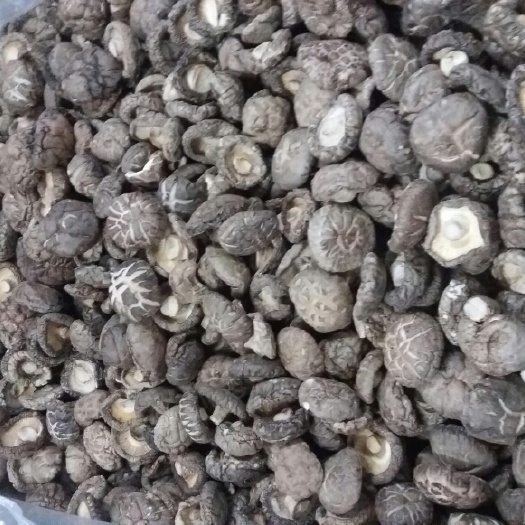 普通干香菇 