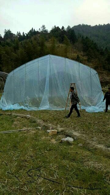 沭阳县钢管大棚 蔬菜棚西瓜棚草莓棚葡萄棚安装简单价格便宜