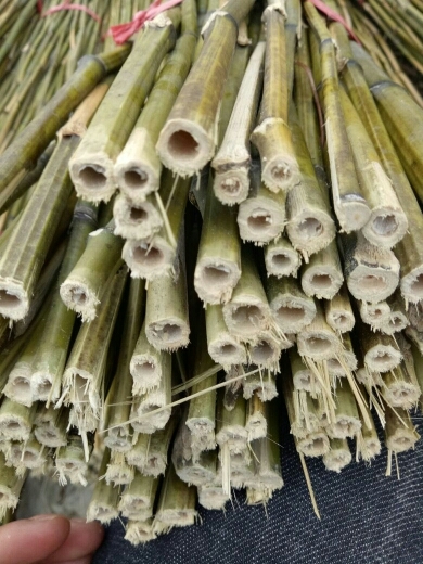 衡阳县毛竹 欢迎咨询