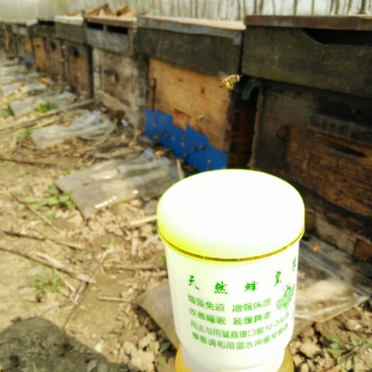 永城市蜂王浆 塑料瓶装  2年