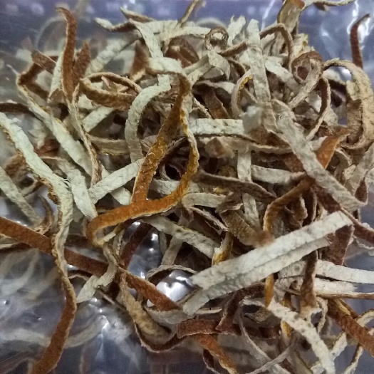 江门新会陈皮