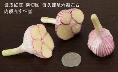 宝坻紫皮四六瓣大蒜