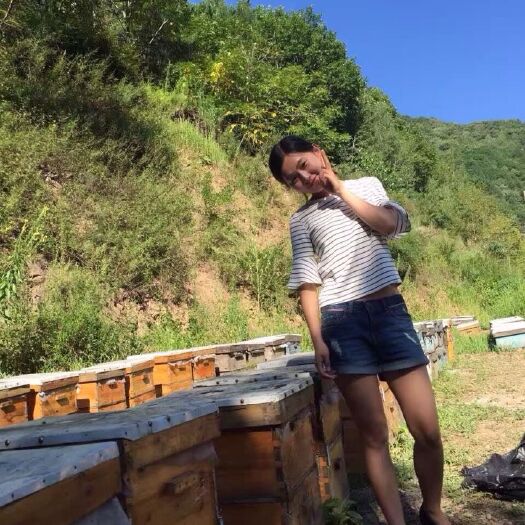 抚松县椴树蜜 塑料瓶装  2年以上