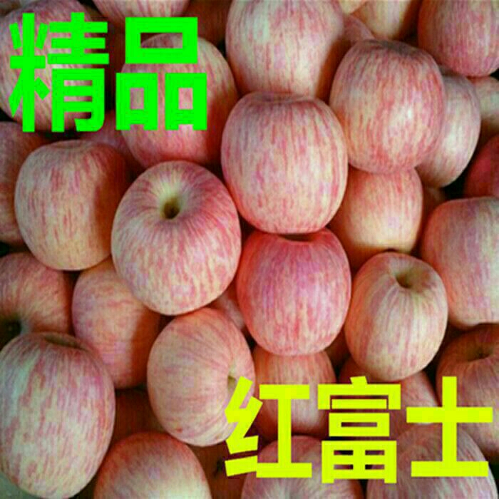 山東紅富士蘋果供應(yīng)