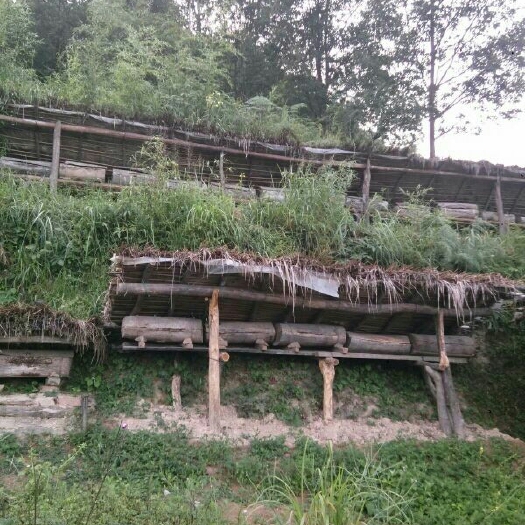 汉中 正宗农家土蜂蜜，