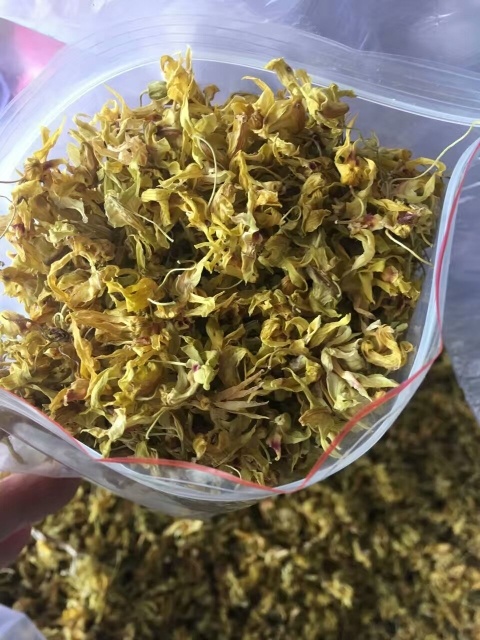 乐清市铁皮石斛花 