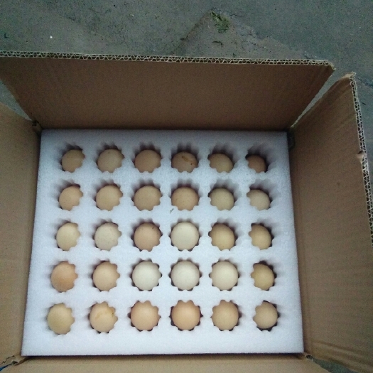 乐清市土鸡蛋 食用 箱装