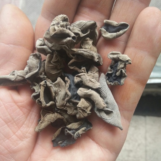 椴木木耳 一级 干木耳