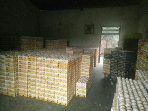 成都白蛋 散装 食用