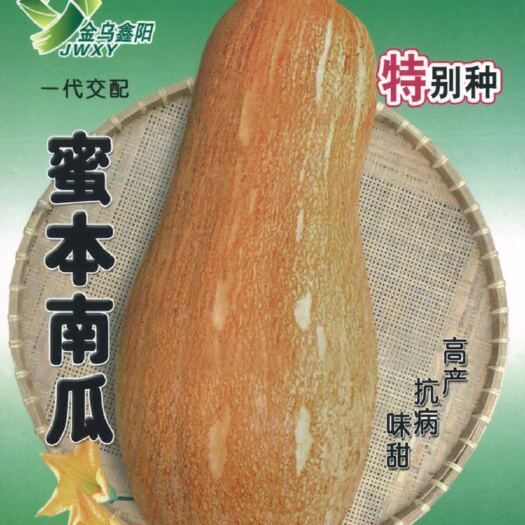 杭州蜜本南瓜种子