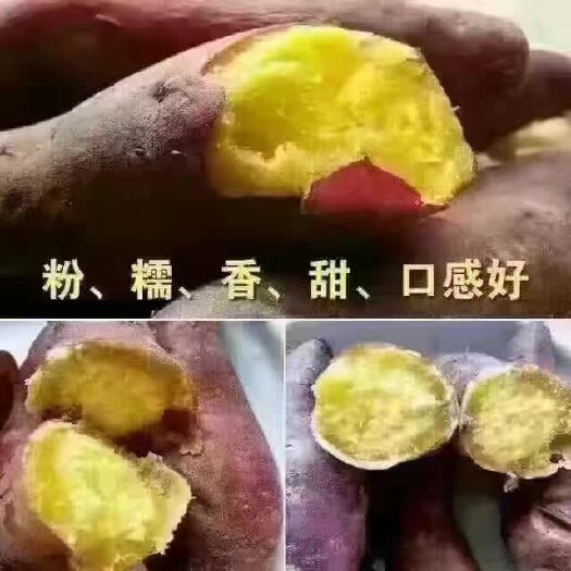 海口桥头地瓜 红皮 1~3两