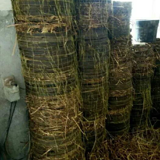 上饶有机肥