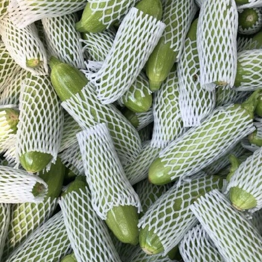 邯郸绿皮西葫芦 0.5斤以下