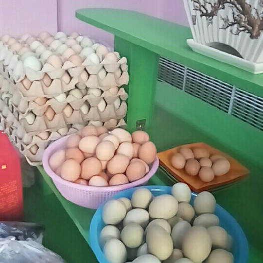 尚志市土鸡蛋 食用 简包装