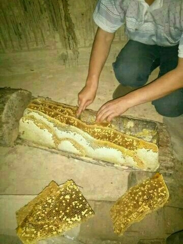 汉中 农家土蜂蜜，秦巴山蜜源地。欢迎选购。