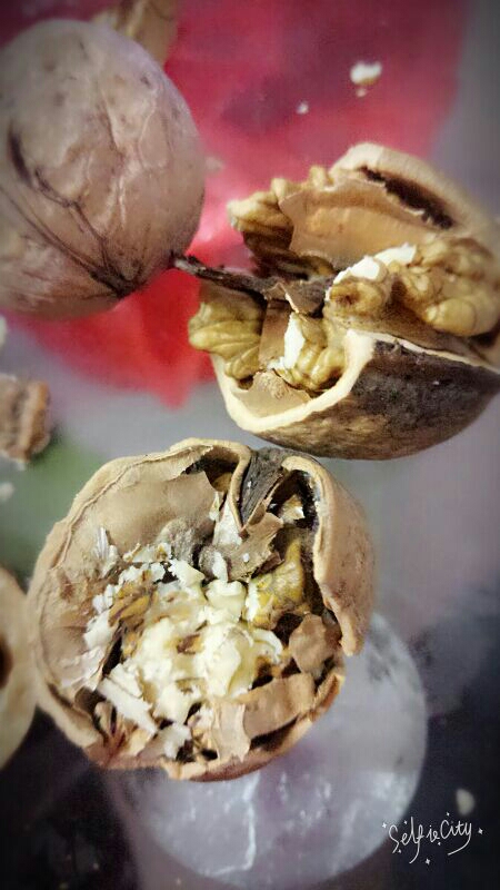 薄皮核桃